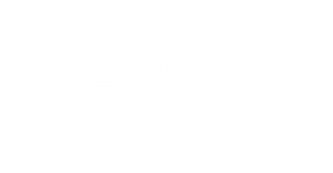 logo aéroclub de Brive